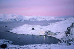 Antarctic Peninsula