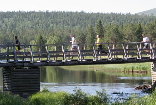 Bridge Trail
