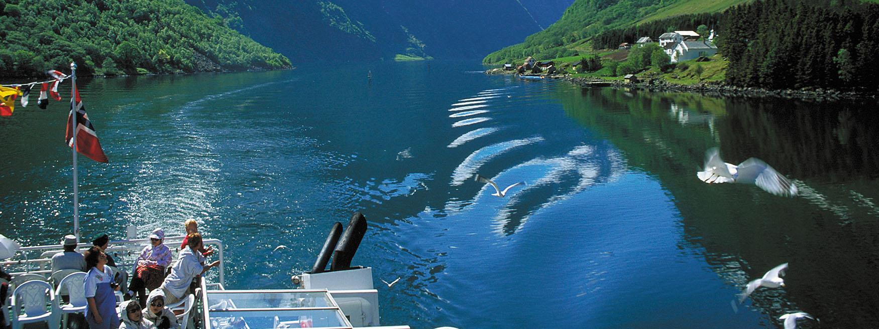 Cruise