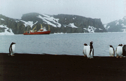 Deception Island