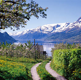 Hardangarfjord