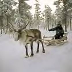 Ice Hotel Reindeer Sled