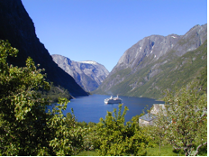 Norwayfjord