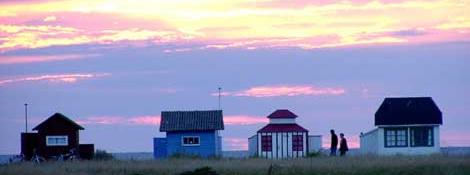 Beach Houses