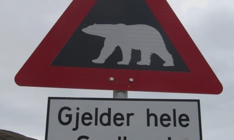 Bear Island