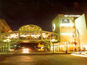 Ekoxen