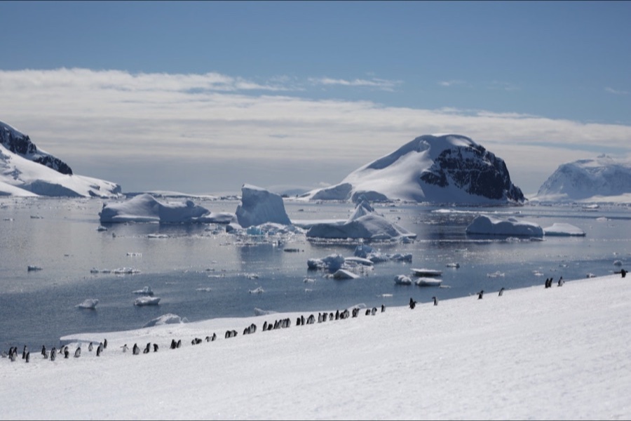 Antarctic Peninsula landscape with penguins and floating ice